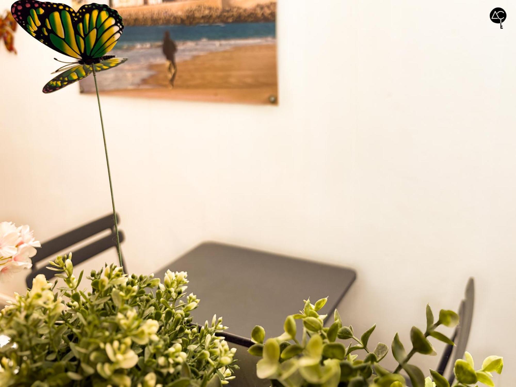 Casita Del Mentidero Grupo Ac Gestion Apartment Cadiz Ngoại thất bức ảnh